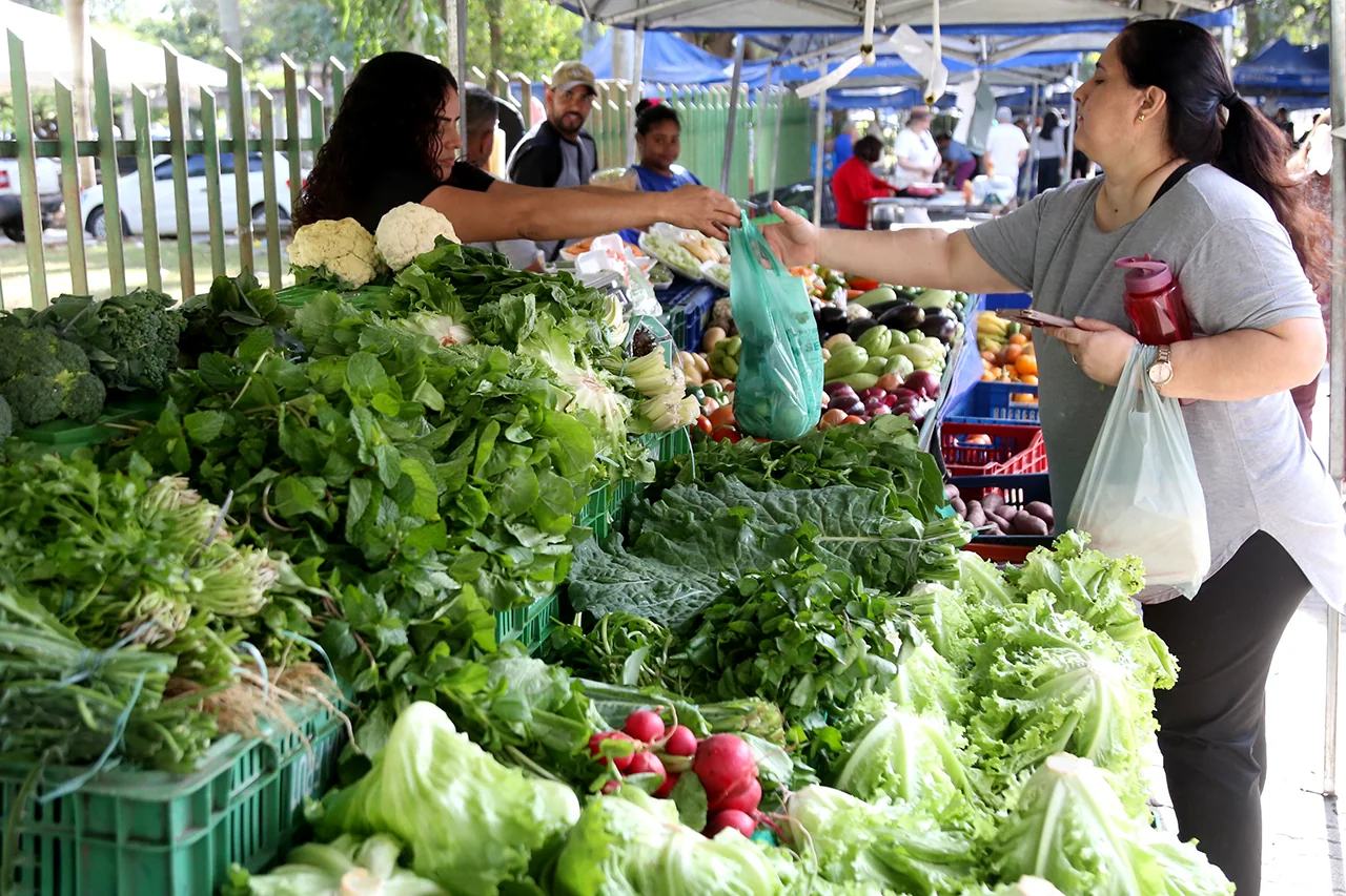 Feira da Roça com produtos da agricultura familiar em Campos