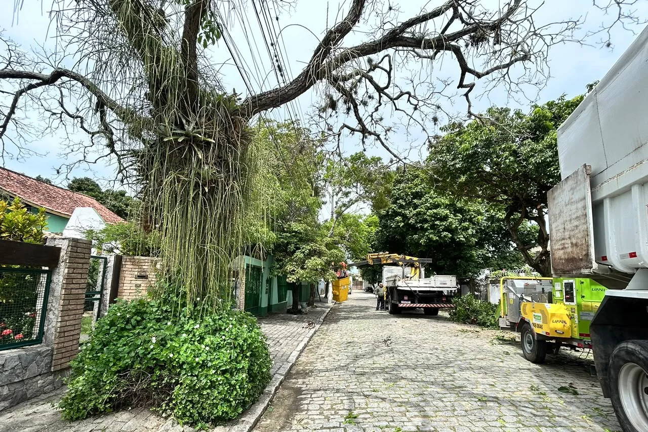 Equipe realiza poda de árvores no Centro de Campos