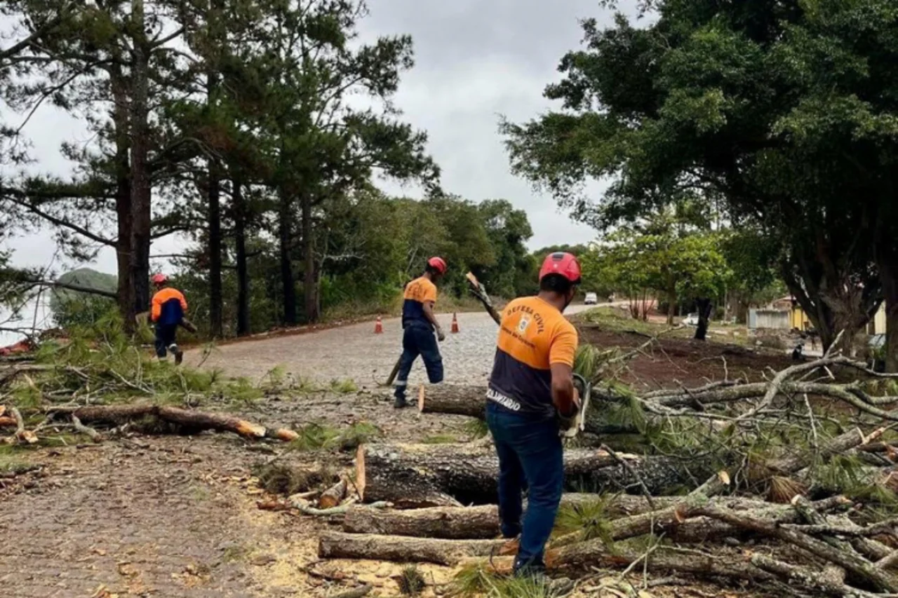 Defesa Civil fez 246 vistorias em árvores em Campos no semestre